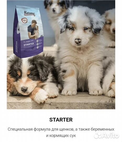 Сухой корм для собак