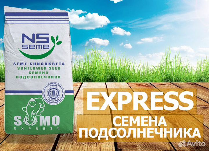 Гибриды семян подсолнечника нсx 6007 (экспресс)