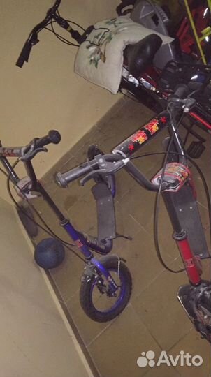 Самокат детский цена за один