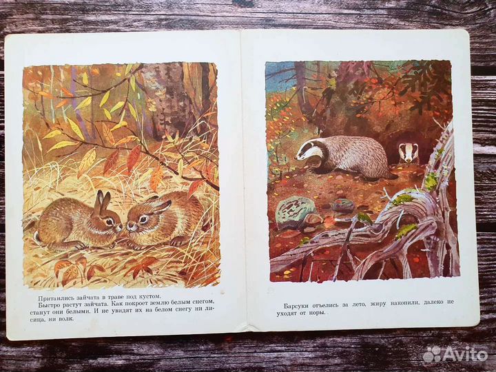 Снегирев. Как птицы к зиме готовятся. 1988 г