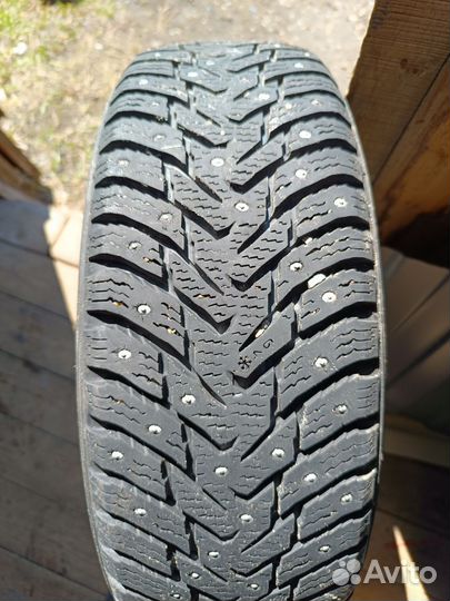 Nokian Tyres Hakkapeliitta 8 185/70 R14