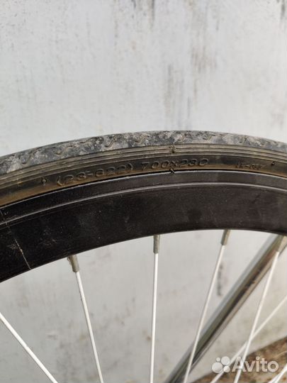 Велосипед bearbike