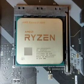 Amd ryzen 5 3600