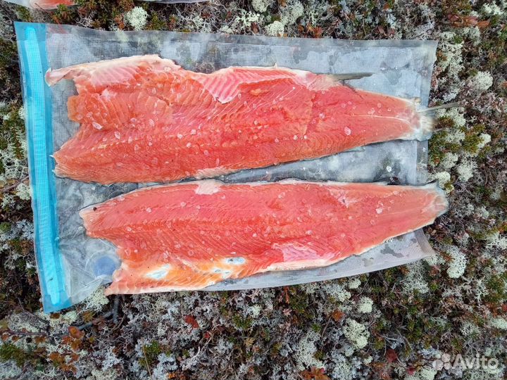 Камчатская красная икра 2023