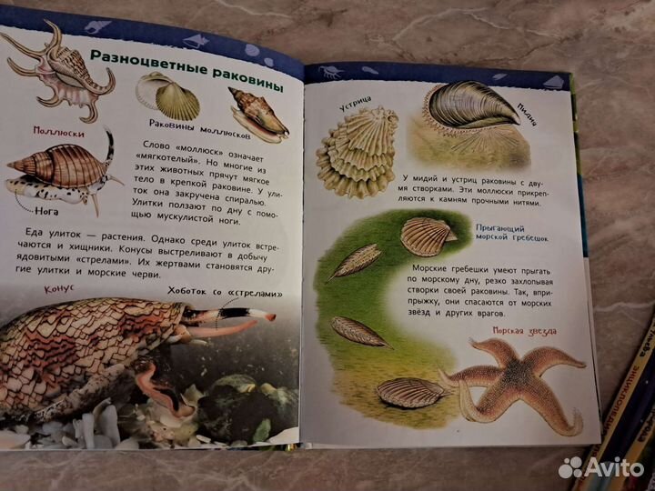 Детские энциклопедии