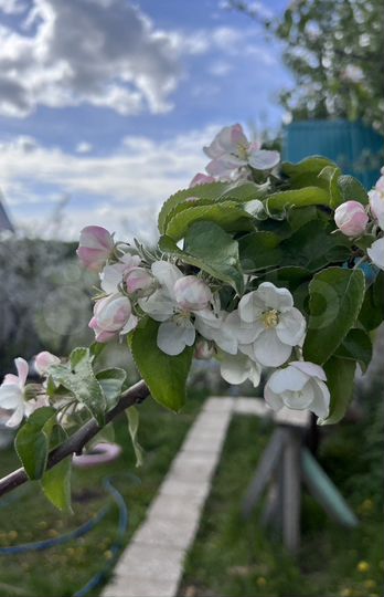 Дача 30 м² на участке 9 сот.