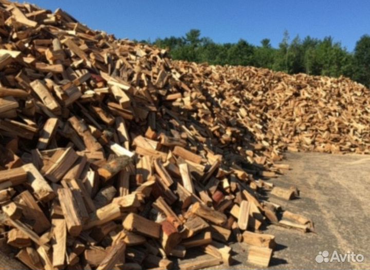Дрова ольха