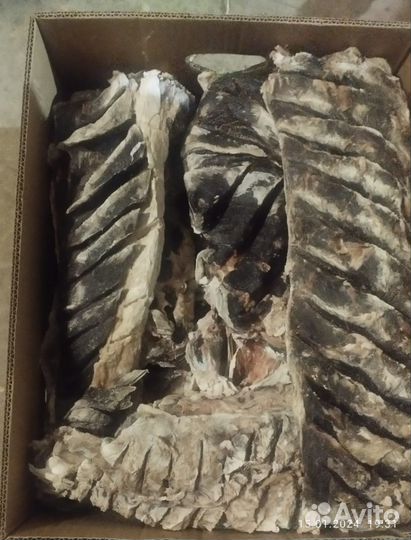 Сушенная колбаса