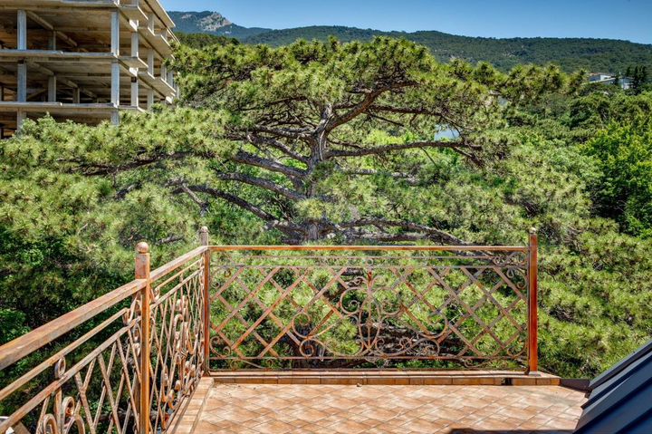 Дом 1270 м² на участке 25 сот.