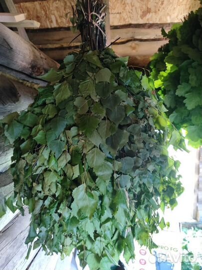 Веники для бани