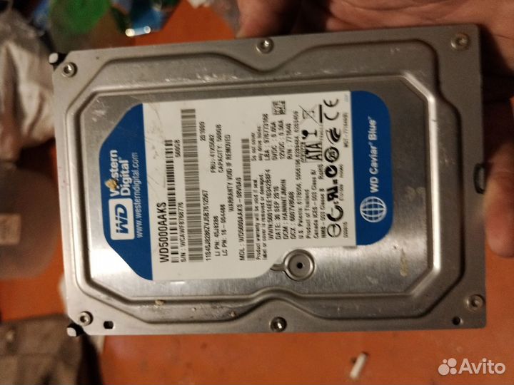 Hdd wd blue