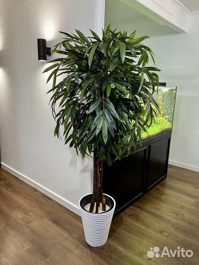 Искусственные деревья / Озеленение Ростов-на-Дону