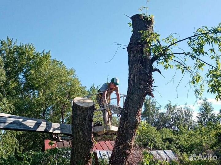 Вырубка спил деревьев, расчистка участка, дробилка