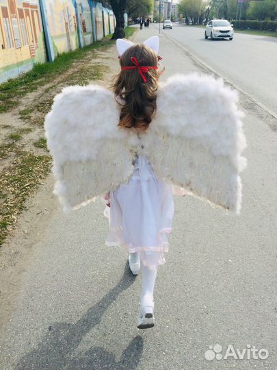 Большие крылья