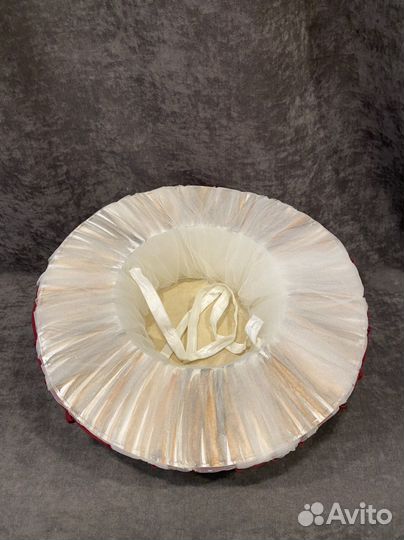 Костюм Гриб