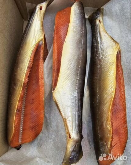 Форель, сёмга, горбуша, скумбрия, сельдь