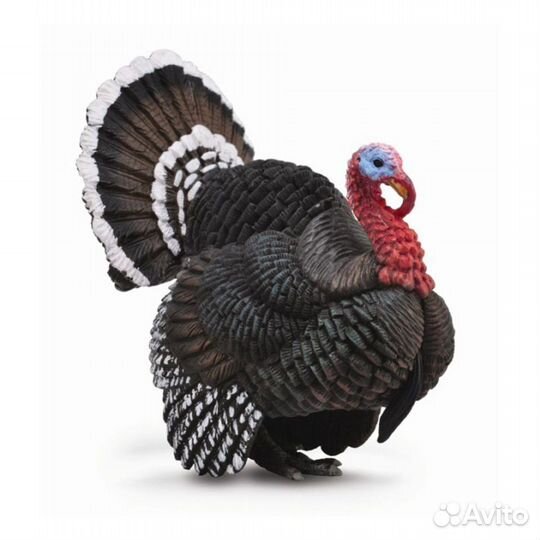 Домашняя индюшатина