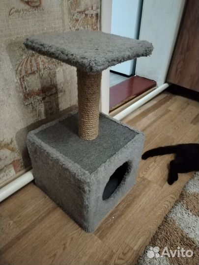 Когтеточка