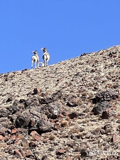 Авто экскурсии и организации джип туров