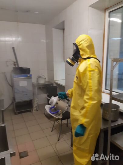 Обработка клопов тараканов комаров тли ос блох