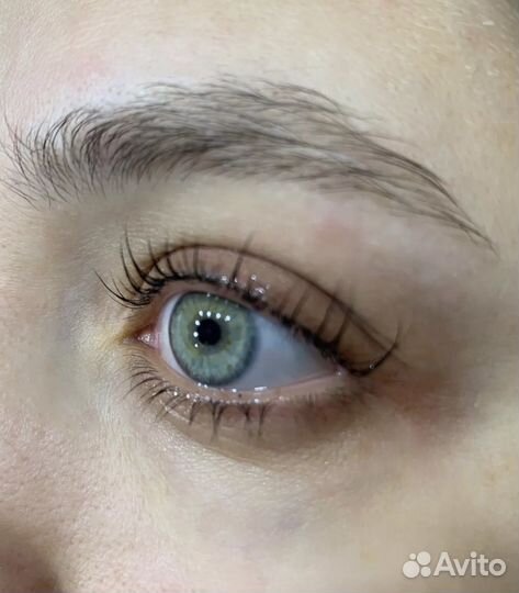 Мастер бровист