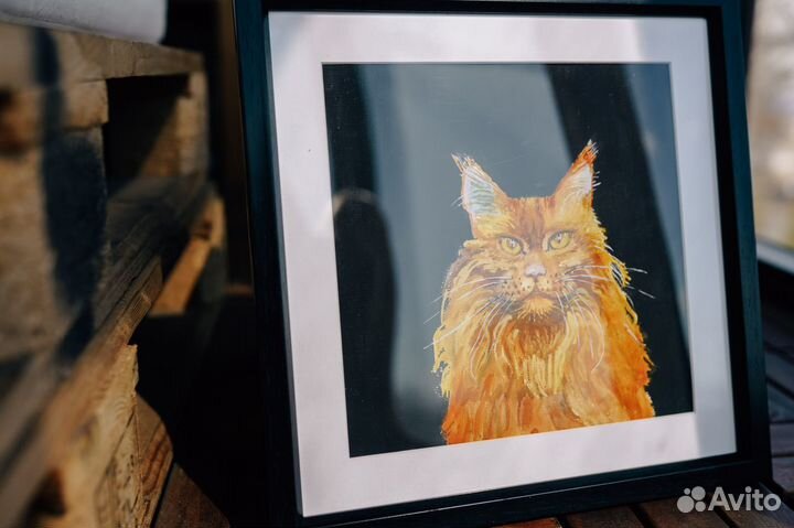 Кот мейн-кун в добрые руки (картина, акварель)