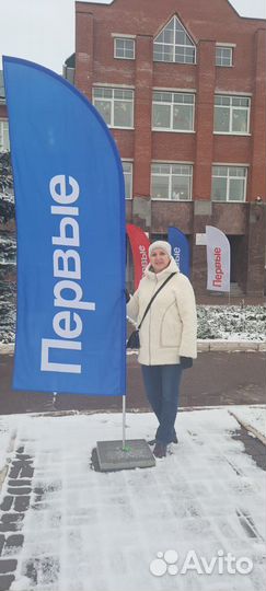 Репетитор по информатике