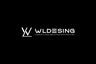 WLdesing.online - ремонт и дизайн интерьера