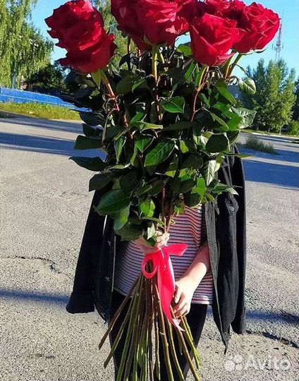 51 Роза, Букеты Цветы Розы 25 101 501 1001