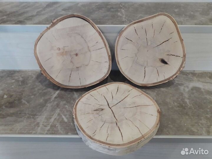 Срезы/спилы березы d21см