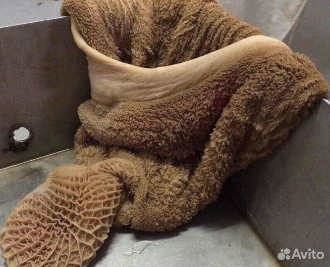 Требуха говяжья