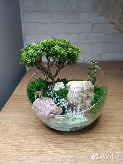 Моссариум флорариум