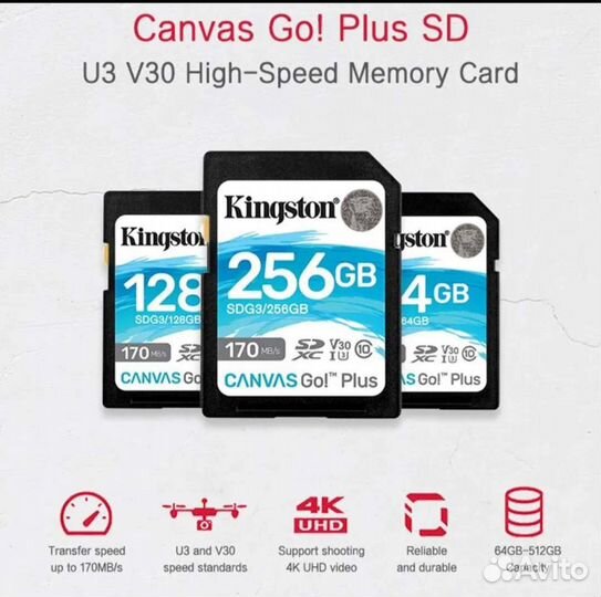 256Gb Kingston Canvas Go Plus sdxc UHS-I