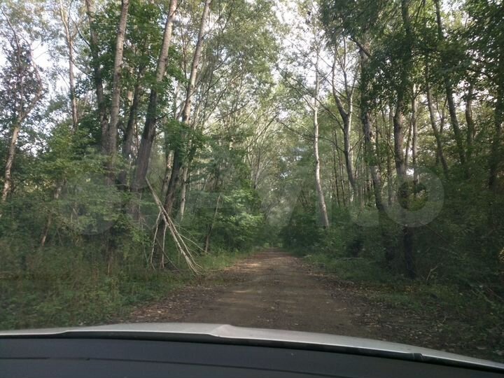 Участок 50 сот. (ИЖС)