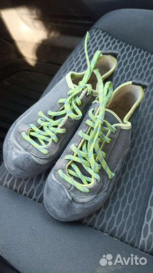 Скальники детские