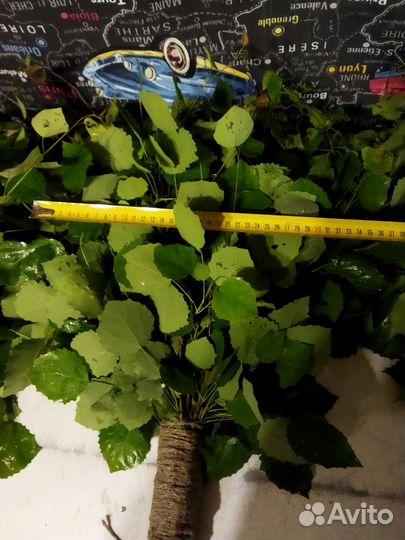 Веник березовый