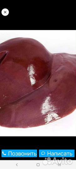 Субпродукты