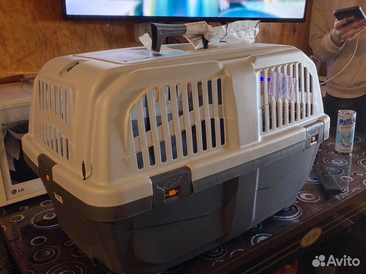 Бокс для собак