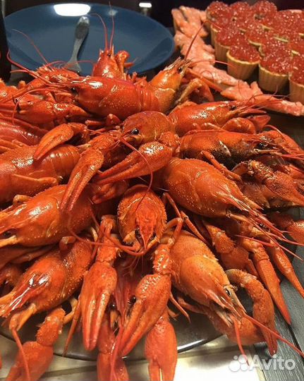 Раки с доставкой