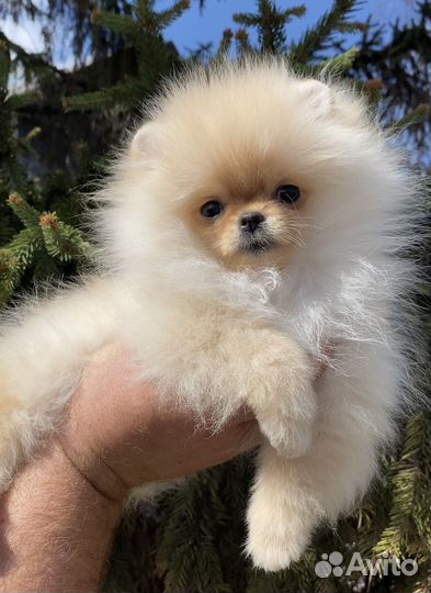 Кукольная малышка