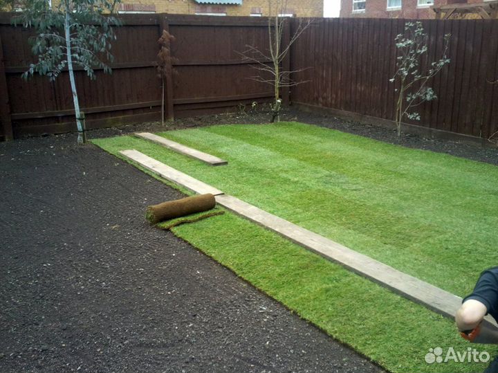 Рулонный газон с укладкой