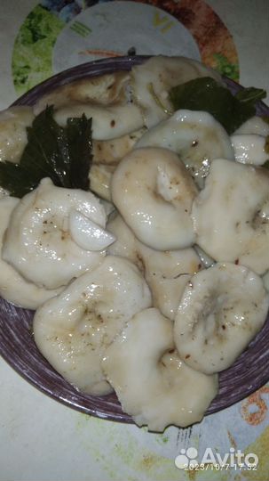 Грибы грузди соленые бочковые