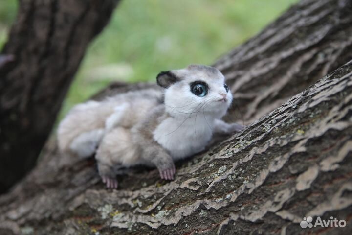 Белочки и обезьянка для Олеси. Бронь