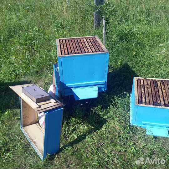 Двухкорпусные Ульи