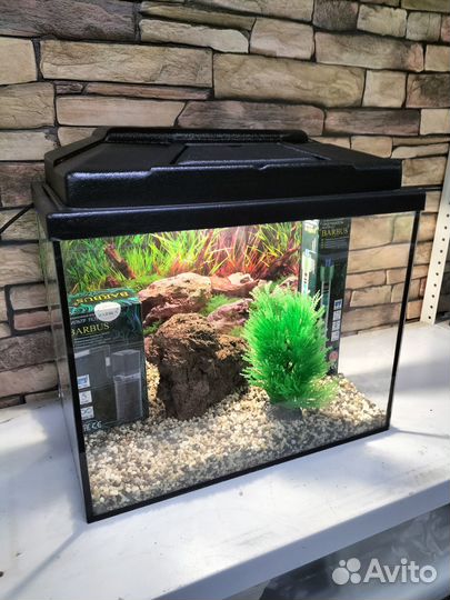 Аквариум