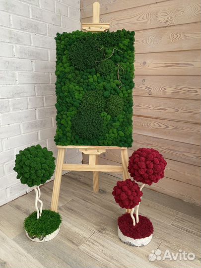 Панели из стабилизированного мха