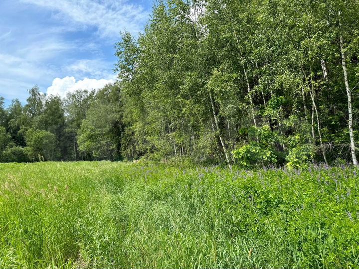 Участок 10 сот. (ИЖС)