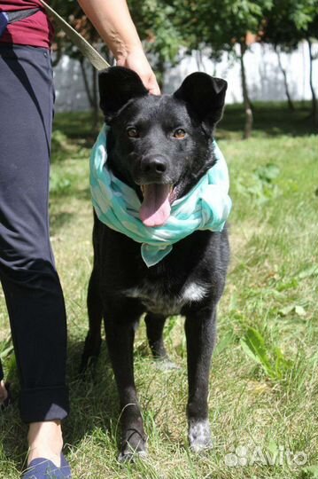 Грант веселый позитивный парень,забери меня