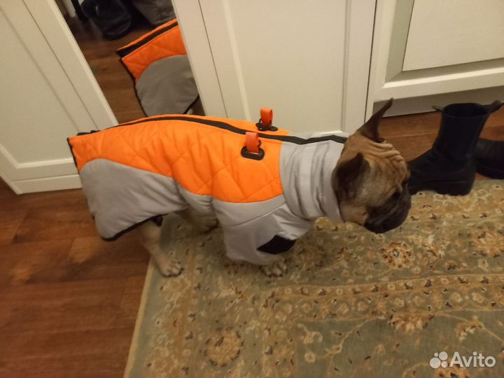 Комбинезон для собаки средних пород