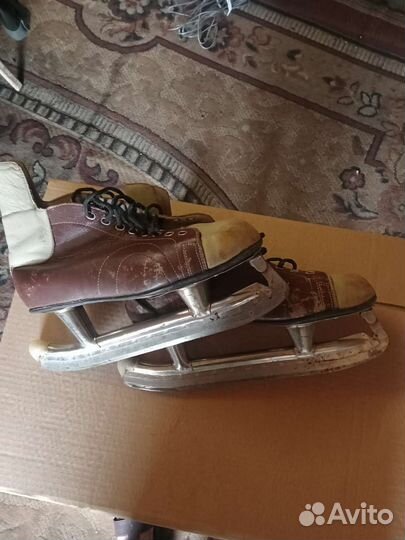 Коньки любительские